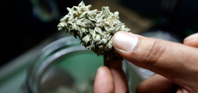 Gift of pot? Marijuana businesses work in Michigan law’s gray area