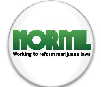 Gubernatorial Report Card: Learn Where Your Governor Stands on Marijuana Policy