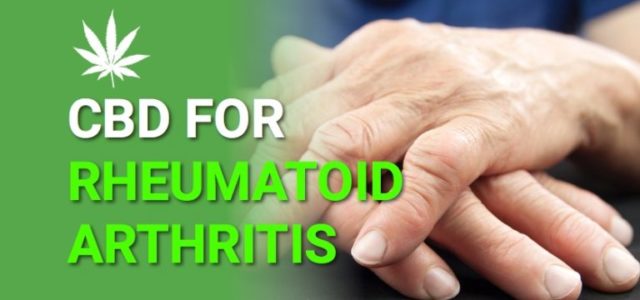 How CBD is being used to help those suffering from arthritis