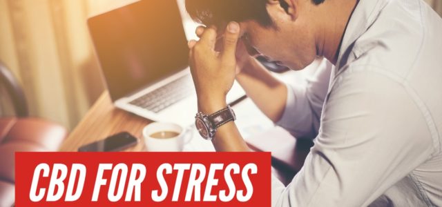 How CBD Is Specifically Used For The Treatment Of Stress