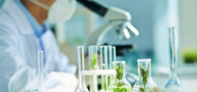 Is Cannabis Research On the Way Up?