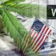 January Starts Off Strong for Marijuana Stocks