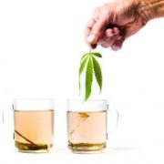 Marijuana News Today: CGC Stock Soars, Marijuana-Infused Beer Spreads in U.S.