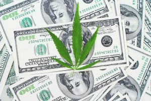 Marijuana News Today: Online Marijuana Market Expands, Pot Stocks Rally