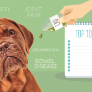 Pet Parents are Using CBD to Treat Arthritis in Dogs