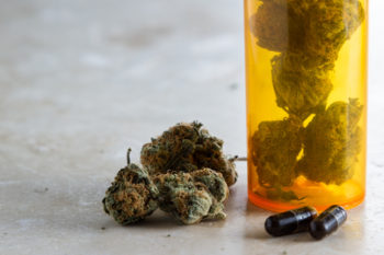 PharmaCielo Establishes Joint Venture with Mino Labs to Bring Medicinal Cannabis Oil to Mexico