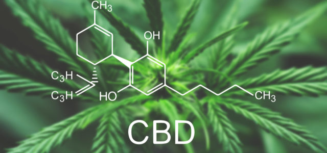 Projected growth of the CBD market globally in the next five years