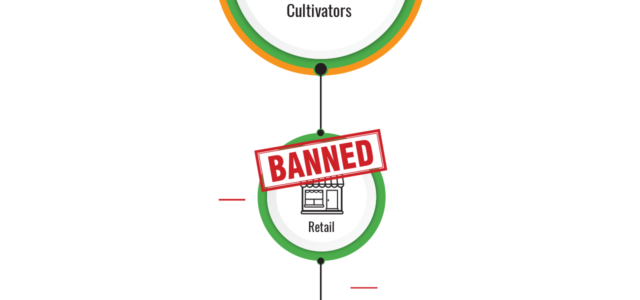 The State of Canadian Cannabis Retail