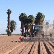 California hemp company sponsored to help research high-CBD cultivars