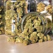 Marijuana News Today: Marijuana Stocks Could Explode Following EU Support