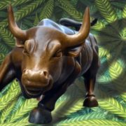 Marijuana Stocks Show Bullish Sentiment With Cannabis Extractions