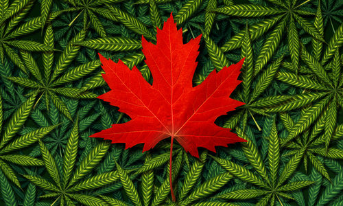 Ontario Cannabis Store Secures Additional Supply Agreements With Licensed Producers – February 7, 2019