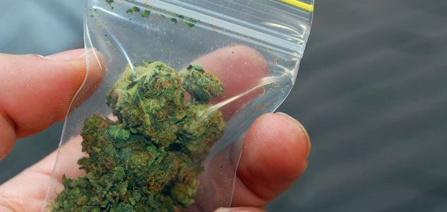 Why marijuana sales on the black market are blooming in Michigan after legalization