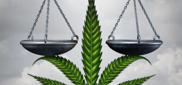 Balancing the Scales? “Big Marijuana” and Social Equity