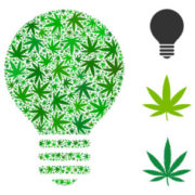 Cannabis Patents are Approaching the Patent Trial and Appeal Board