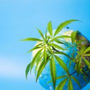 Canopy Growth Corp: New Partnership Could Turn Canopy into Leading Global Pot Retailer