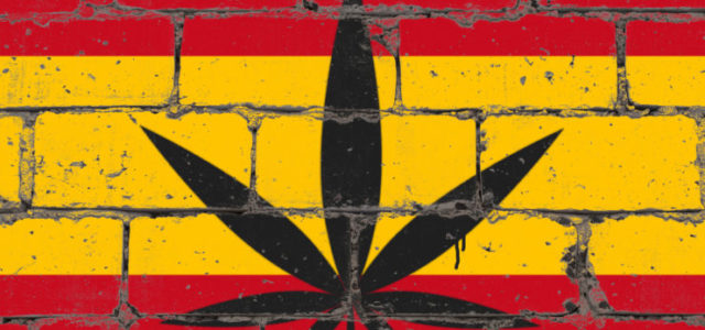 Far Beyond the Spanish Cannabis Scene: Spannabis 2019