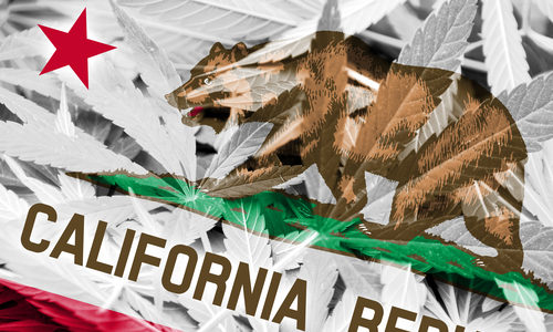 Halo Labs Awarded Annual Cannabis Manufacturing License by California, among the First to Implement Track and Trace (METRC)