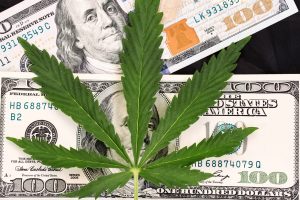 Marijuana News Today: Pot Spurs Job Growth, Helps Speed Along U.S. Legalization