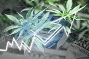 Marijuana News Today: Pot Stocks Rally Following New Jersey Pot Legalization Proposal