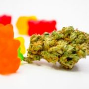 Plus Products Inc: California Cannabis Edibles Company with Amazing Potential