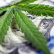 Tertiary Marijuana Stocks Shock Investors With Their Value