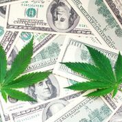 These “Comeback” Marijuana Stocks Are Roaring To Life (Up 23% In A Single Day)