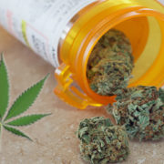 Will Marijuana Replace the Need for Harsher Drugs?