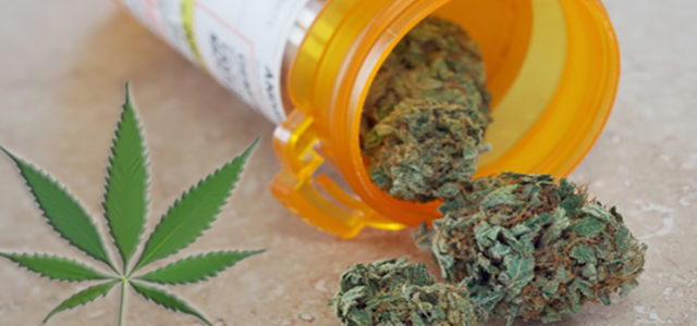 Will Marijuana Replace the Need for Harsher Drugs?