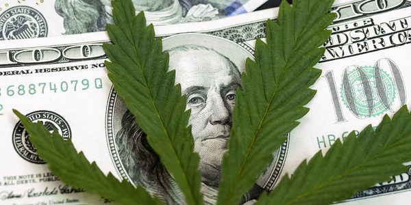 13 Reasons to Love Marijuana Stocks