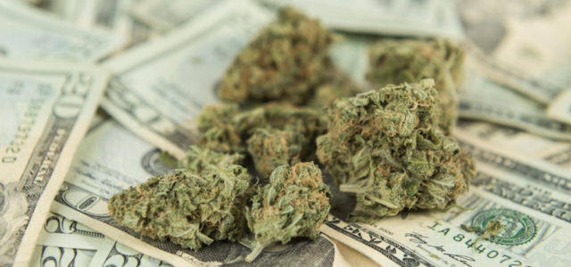$350,000 in cash? California marijuana taxes still make growers – and tax collectors – nervous