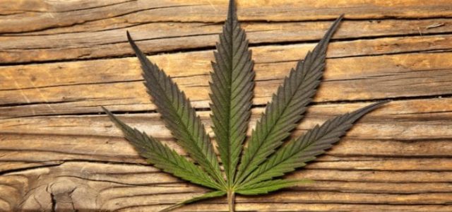 Are Marijuana Stocks Subject for Even More Growth?