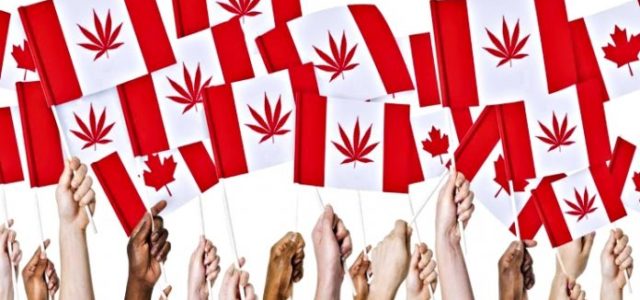 Canada is Still Playing a Huge Role in the World of Marijuana Stocks