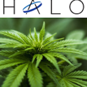 Halo Labs: Building A Cannabis Concentrate & Oil Empire