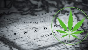 Marijuana News Today: Pot Stocks Struggle to Overcome Government Barriers