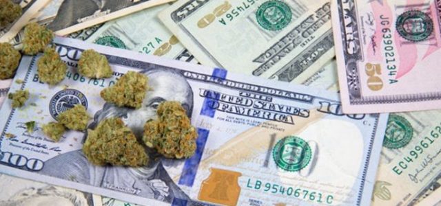 Marijuana Stocks Are The New Kid on the Block