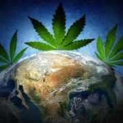 Navigating the New World of Marijuana