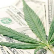The Marijuana Stock Market Is Beginning to Mature as Time Goes On
