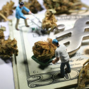 The US Government Received a $4.7 Billion Payout From Weed Taxes