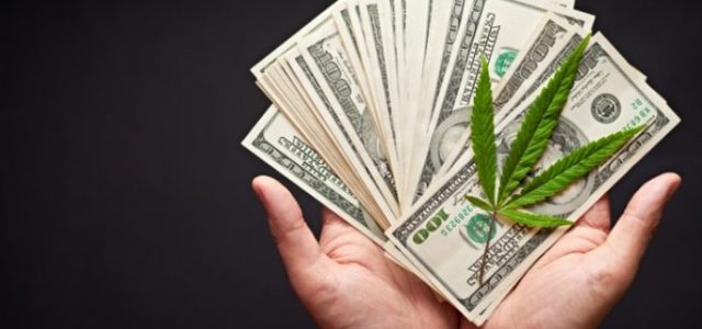 U.S. Marijuana Stocks are on a Roll This Month