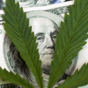 California Senate Approves Special Banks for Marijuana Retailers