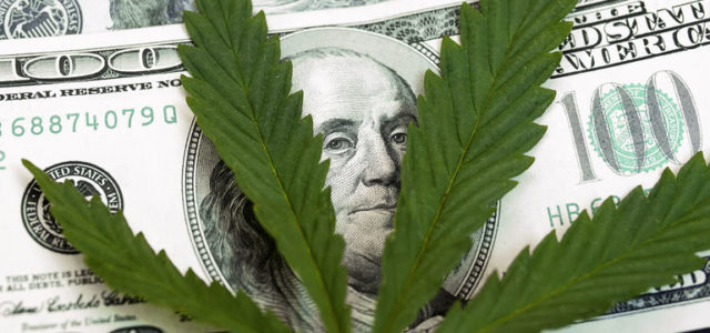 Cannabis: the new green that’s filling state coffers