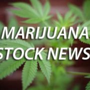 Canopy Growth Corporation (CGC) (WEED.TO) Appoints Mike Lee as Acting Chief Financial Officer