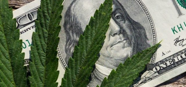 Marijuana Stocks Continue to Show Why They’re So Popular