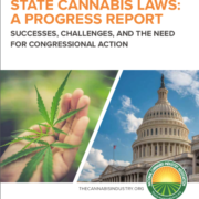 State Cannabis Laws: A Progress Report (2019 Update)