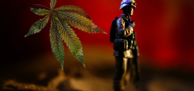 VA Comes Out Against Bills on Medical Marijuana for Veterans