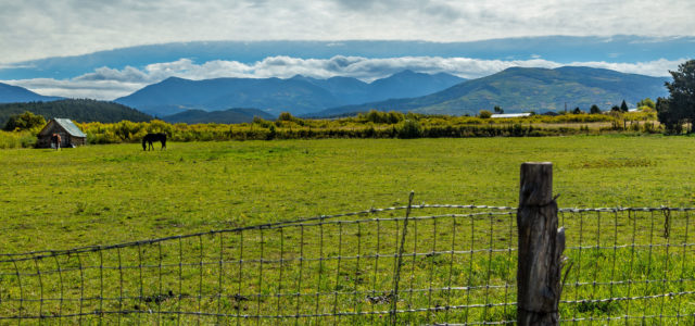 Vegetable producer Village Farms expands hemp, CBD production into Colorado