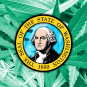 Washington’s New Cannabis Laws: The Definitive List