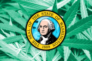 Washington’s New Cannabis Laws: The Definitive List