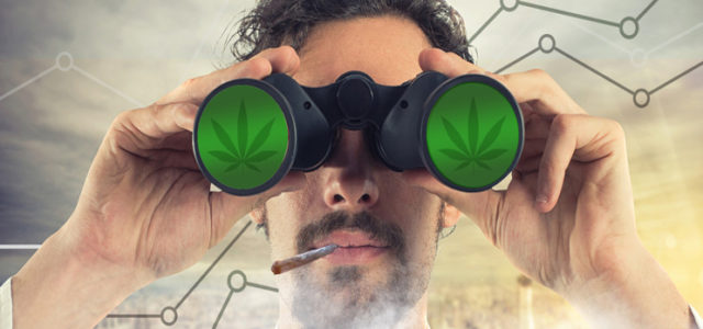 Which Marijuana Stocks Are Investors Watching for June